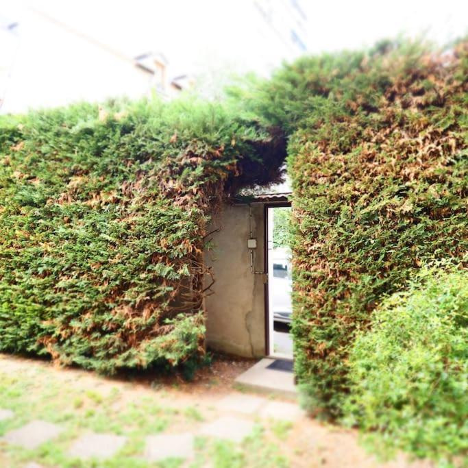 Maison Faure - Centre Ville - Jardin - Garage Vichy Eksteriør bilde